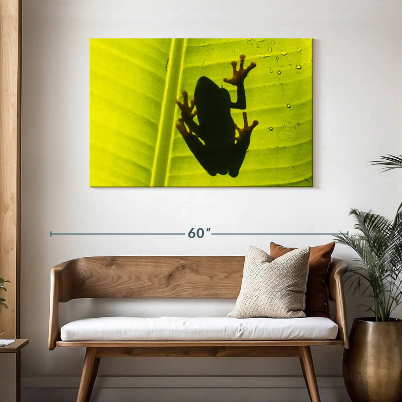 Crowle Frog On Leaf, 30" H x 45" W
