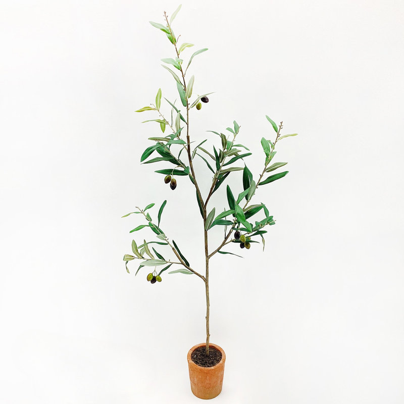 Ingresso Potted Faux Olive Tree