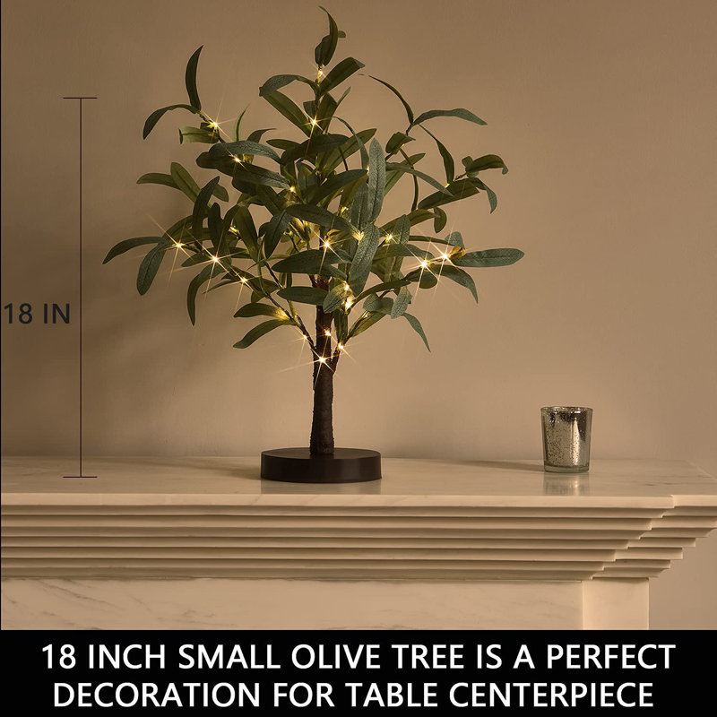 Little Lighted Bonsai Olive Tree with Timer