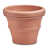 Weathered Terracotta