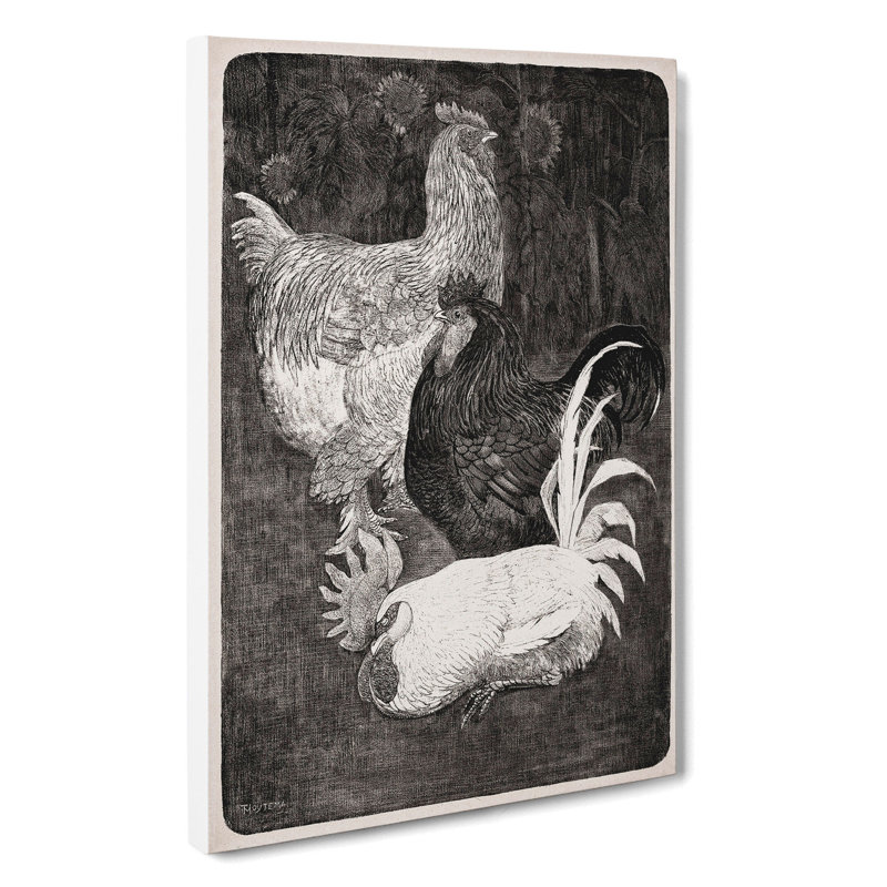 Three Roosters by Theo Van Hoytema - Wrapped Canvas, 60cm H x 40cm W x 3cm D