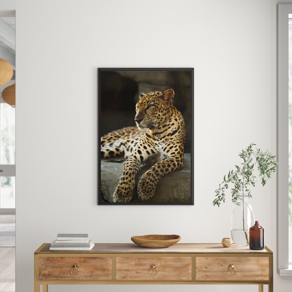 Gerahmtes Wandbild Majestätischer Leopard