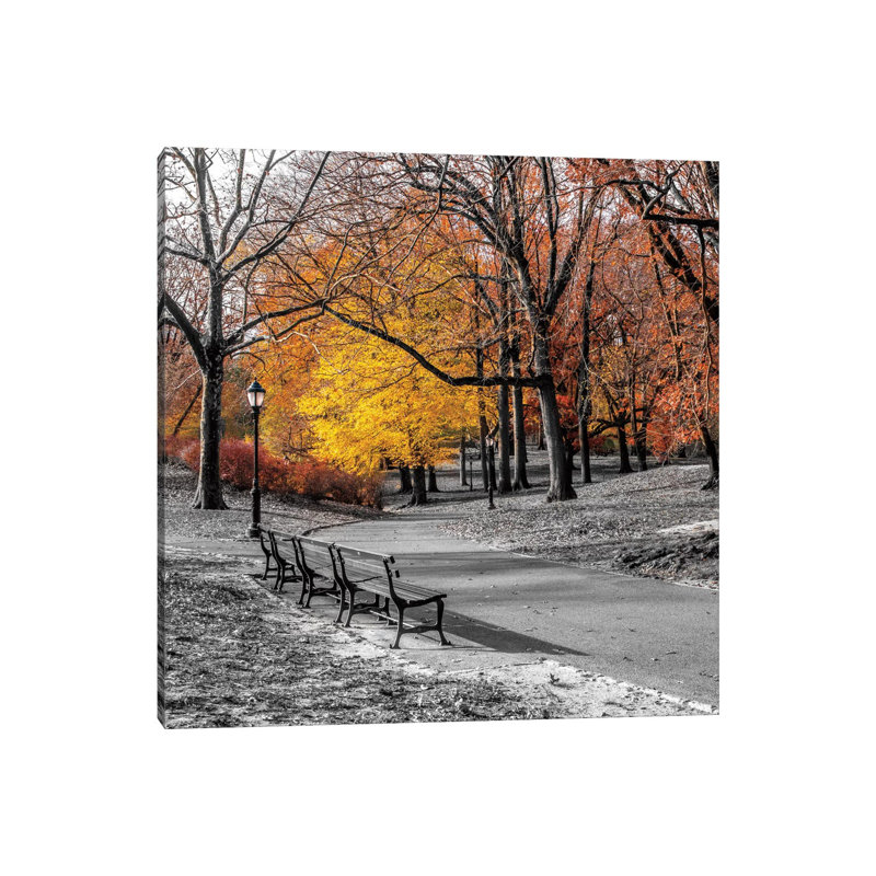 Park Pretty I by Assaf Frank - Print on Canvas, Wrapped Canvas, 45.72 cm H x 45.72 cm W x 1.91 cm D