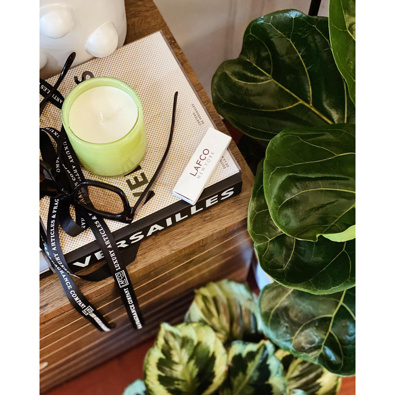 Rosemary Eucalyptus Scented Jar Candle, 4" H x 4" W x 4" D