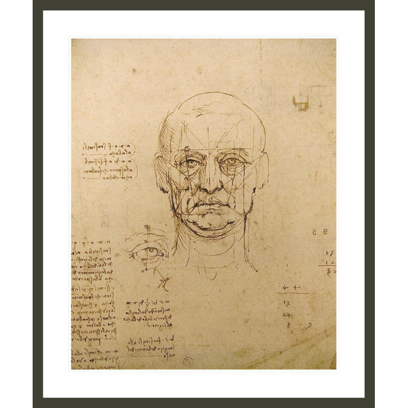 Dessin de l'étude du visage par Leonardo Da Vinci - Impression Giclée encadrée, H 39,95 po x l 33,5 po