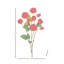 Tige de rose 25 po Ramblin -258401783