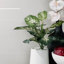 Reverb 12x36 3D Matte Ceramic Tile