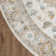 Pritts Washable Oriental Indoor Rug