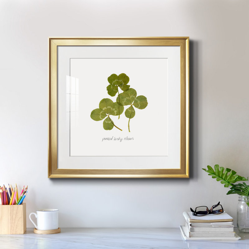 «Pressed Clover II», reproduction encadrée de qualité supérieure - prête à être accrochée, Cadre doré
