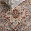 Tapis performance oriental Broomhedge Bijar-26009447-130812947