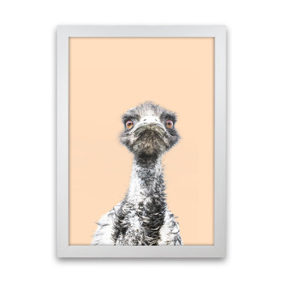 Orange Emu by Victoria Frost - Print