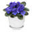 Jukerius Ceramic Pot Planter