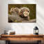 Famille Opossum-114307293