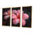 Toile avec cadre flottant or