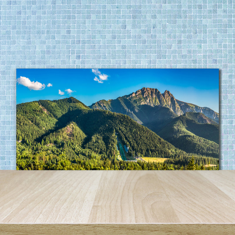 50cm W x 100cm L Glass Peel and Stick Panel