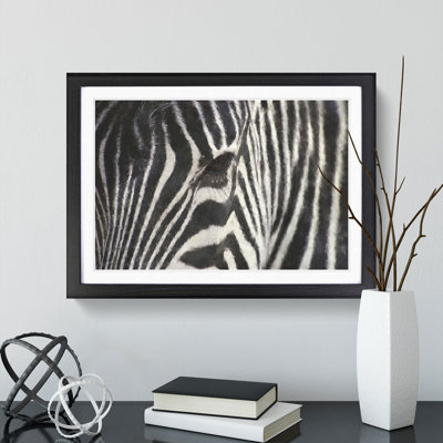Zebra Vol.4 - Picture Frame Painting