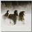 " Winter Roundup II "-54976371