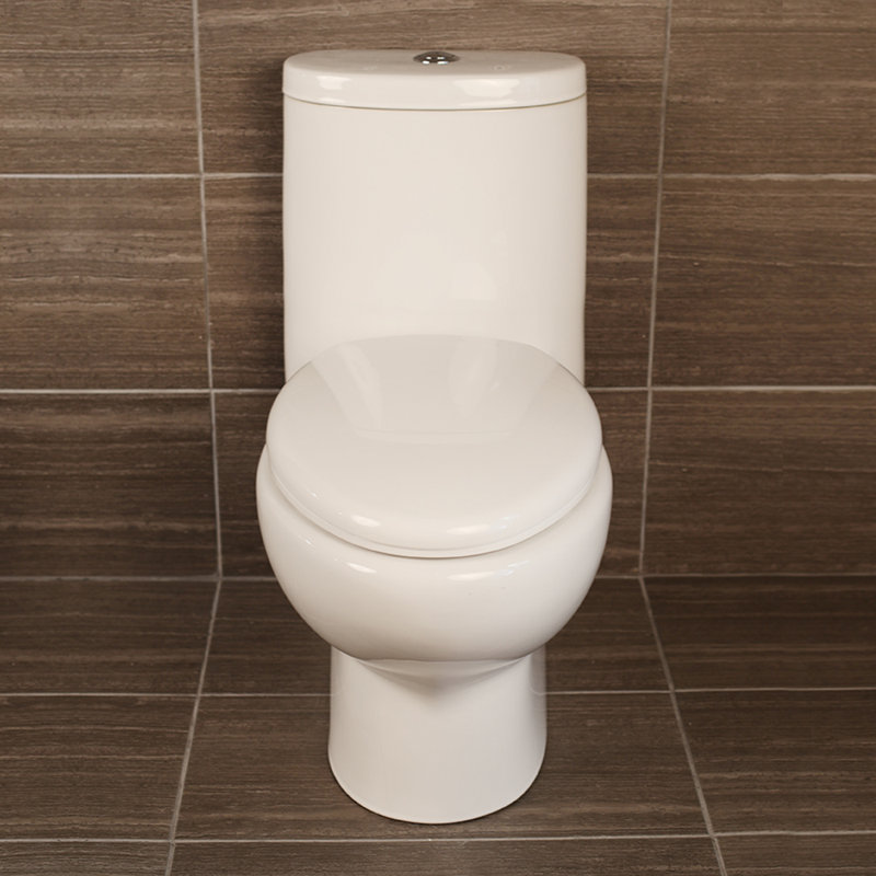 Armosa 1 Gallons GPF High Efficiency Dual Flush Kit