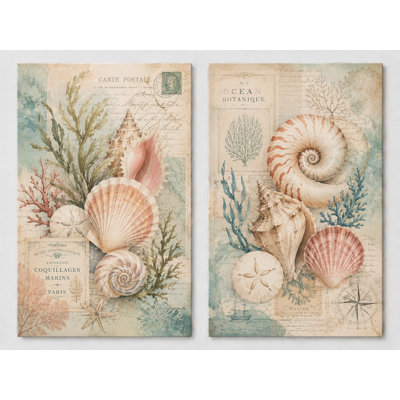 Grand ensemble de 2 reproductions d'art sur toile botanique coquillage rétro, Illustration d'océan côtier antique pour salle de bain plage, impression sur toile 16 x 24 pouces - prête à être accrochée