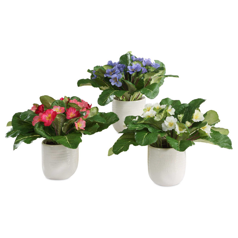 Ensemble de 3 primevères dans des vases Uttermost Trilogy