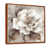 Brown Floater Framed