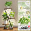 Plant Stand - Set of 2