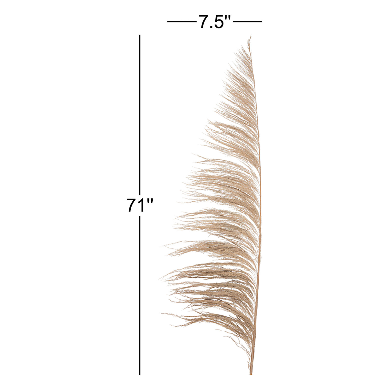 Vickerman Uva Palm Spray 71'' Palm Plant, Natural