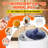 1000w 2.5l Steam Generator For Sauna Tent with Remote Control