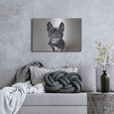" Bailey " by Susan Sabo