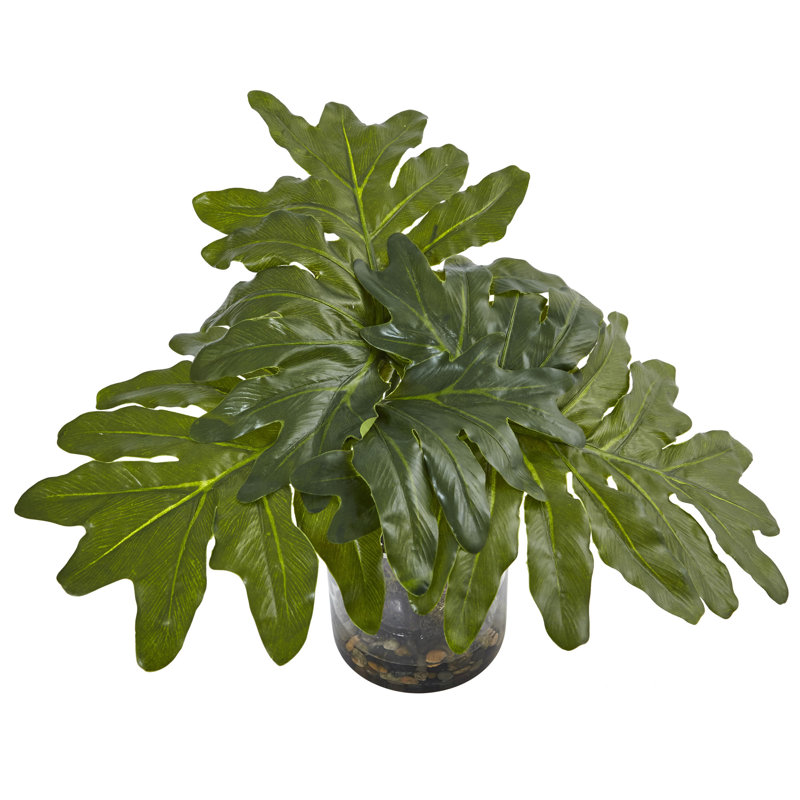 Philodendron plante à feuillage dans un vase décoratif