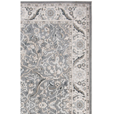 Aayusha Performance Oriental Rug