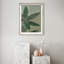 Oliver Gal Shadows I Floral & Botanical - Luxury Shadowbox Framed Wall Art-449012861-449012860