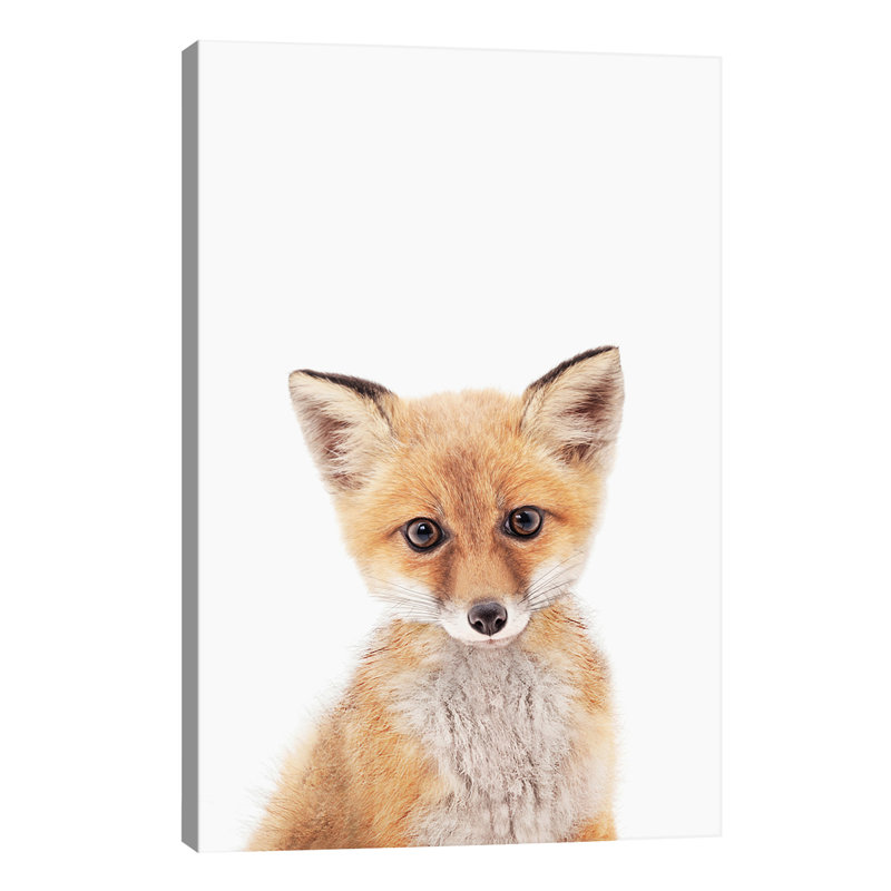 Baby Fox - Wrapped Canvas Print, 66.04 cm H x 45.72 cm W x 3.175 cm D