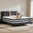 Aleksey 12" Memory Foam Hybrid Mattress with Euro Top & Motion Isolation-123100455