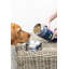 Built Pet 427ml Pet Food Jar