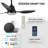 42" Smart Ceiling Fan With Lights Remote