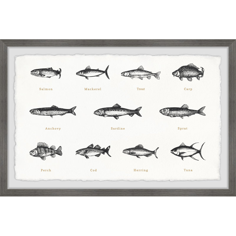 Deep-Sea Fishes In White - Single Picture Frame Print, 20cm H x 30cm W x 3.81cm D