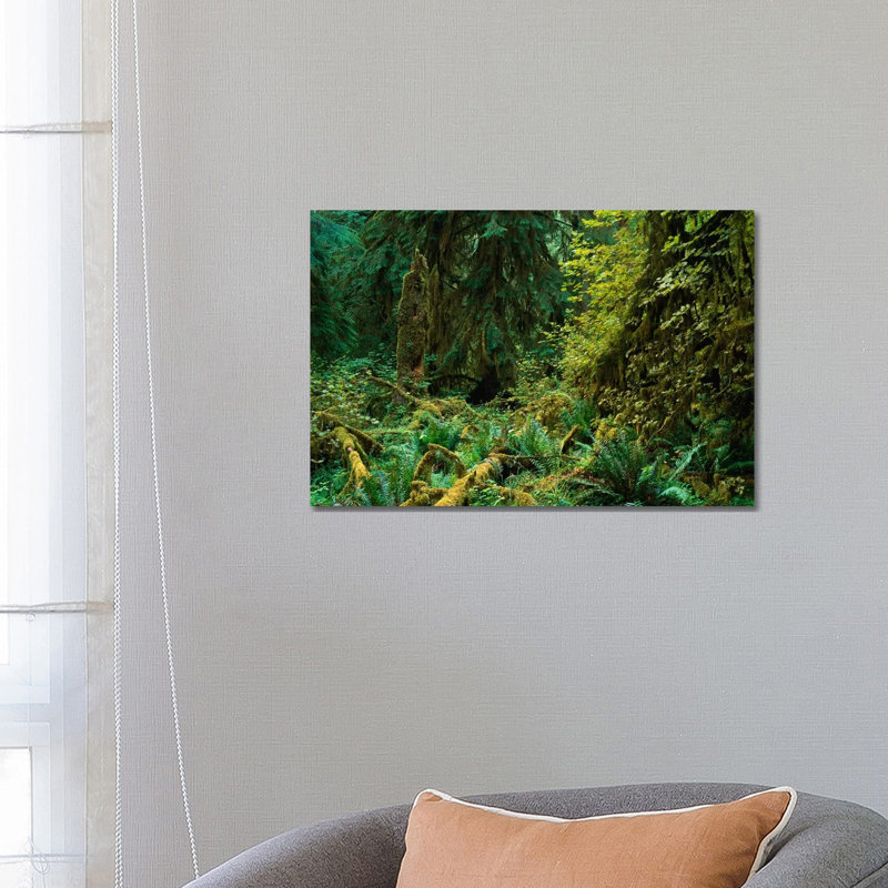 Lush Vegetation in the Hoh Rain Forest, Olympic National Park, Washington 1 Piece Wrapped Canvas Wall Art