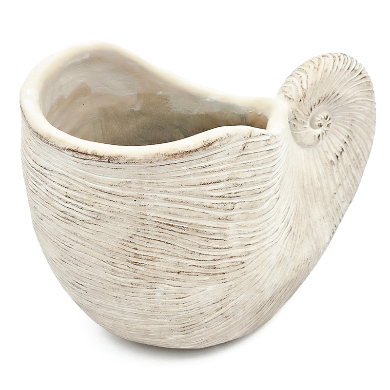 7.6 Lbs Decorative Shell Planter With Sandy Beige Finish To Match Rustic And Coastal Interior Textured Sand Cement Suitable For Succulents Bringing Peace Your Dining Room