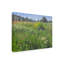 «Flower Field» Armstrong, impression sur toile tendue-27648389