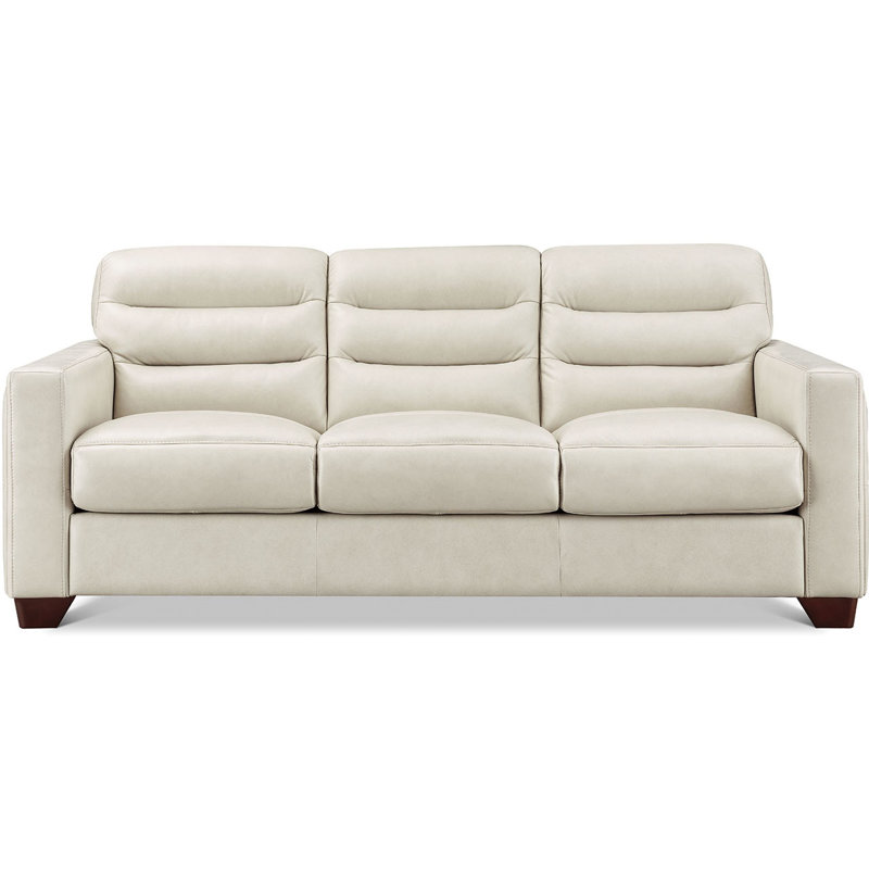 Erath Top Grain Leather Sofa Couch