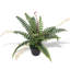 Faux Fern Plant in Pot-33205962-125762363