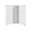 Gershwin 60Cm W x 60Cm H x 30Cm D Free-Standing Back to Wall Toilet Unit-1037284635