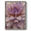 «Soft Flower Petals II», reproduction encadrée - bois massif-792245225