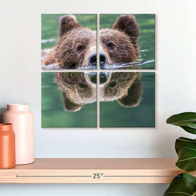 Brampt Grizzly Bear Swimming Reflection