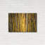 «Bamboo» par Mark A Paulda-101450463