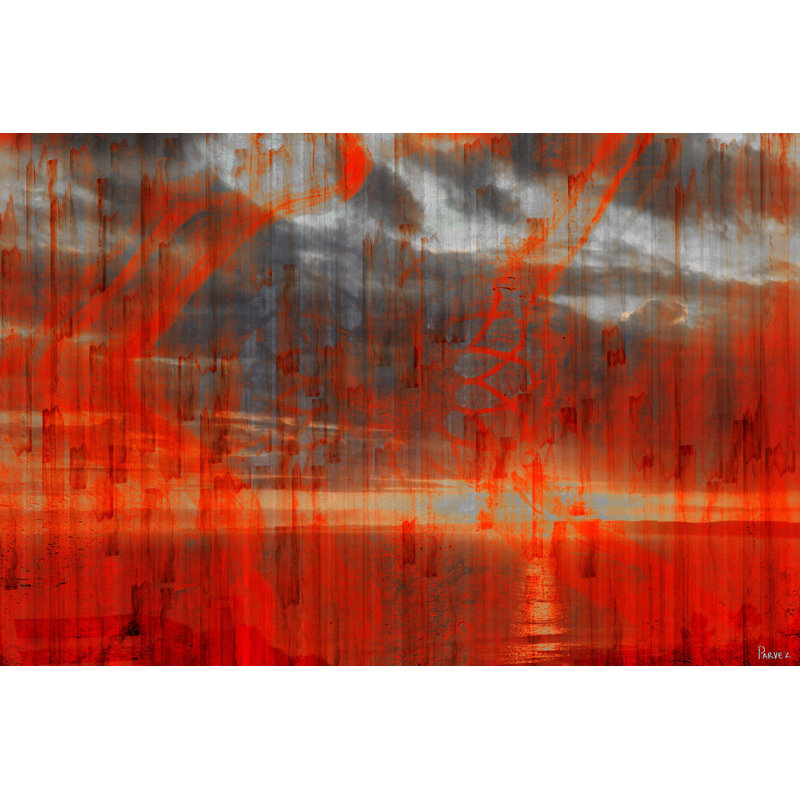 Parvez Taj - Wrapped Canvas Print, 30cm H x 45cm W x 5cm D