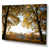 Toile tendue