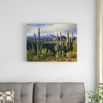 Saguaro Cacti and Santa Catalina Mountains, Arizona' Photographic Print on Wrapped Canvas -  East Urban Home, 49B724C78EF5469D9D3E35CB9F7649E5