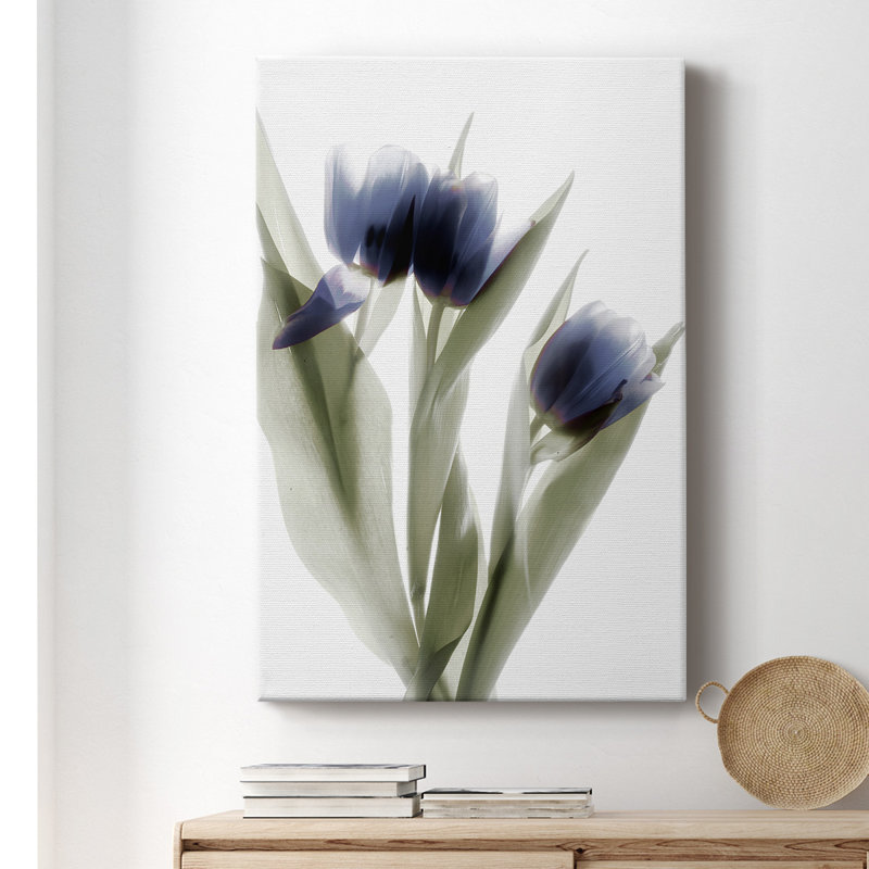 «Xray Tulip IV», impression sur toile tendue, H 18 po x l 12 po x P 1 po